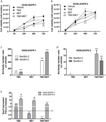 Frontiers | Imaging Metformin Efficacy as Add-On Therapy in Cells and Mouse  Models of Human EGFR Glioblastoma